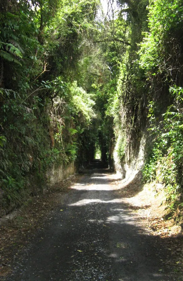 The Kakahi railway cut